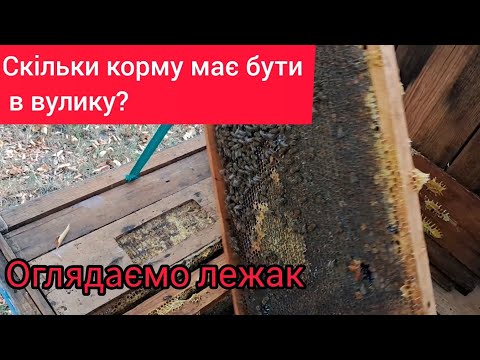 Видео: Кількість меду в зиму, стан сімей