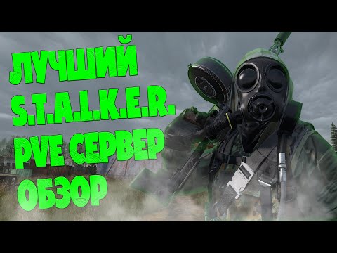 Видео: DAYZ ОБЗОР ЛУЧШЕГО PVE СЕРВЕРА В 2025