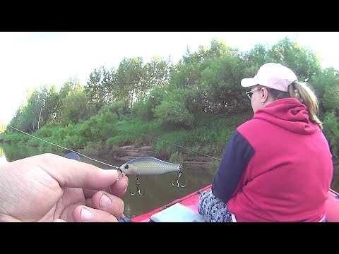 Видео: Не могу НИФИГА поймать, а жена ТАСКАЕТ )) Сплав, Чепца, Утро...