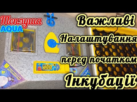 Видео: Запуск інкубатора Теплуша Аква , покроково перед інкубацією