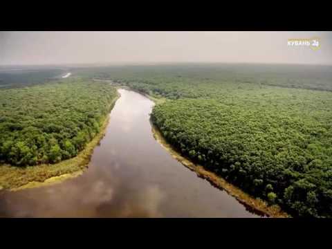 Видео: О ст  Каневской и Челбасском лесе