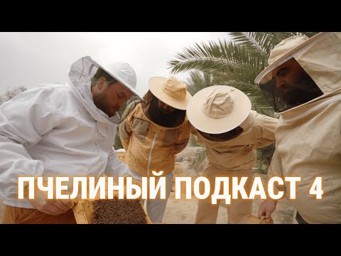 Видео: ПЧЕЛИНЫЙ ПОДКАСТ 4 Арсен Маркарян