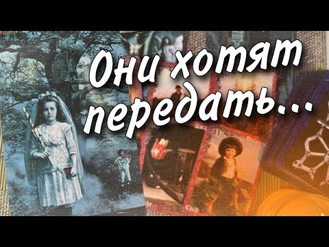 Видео: Послание УМЕРШИХ  🕊️ Послание от ушедших в мир иной близких... ♥️♠️ Таро прогноз