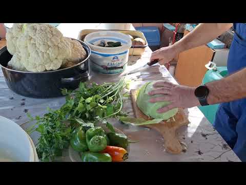 Видео: Туршия срещу рак 