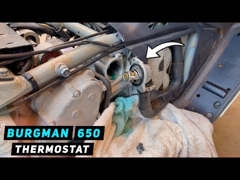 Видео: Suzuki Burgman 650 - Замена термостата | Mitch's Scooter Stuff