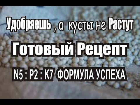 Видео: ВЫ УДОБРЯЕТЕ ,а КУСТЫ не РАСТУТ...как понять какие и в каком колличестве вносить удобрения под куст