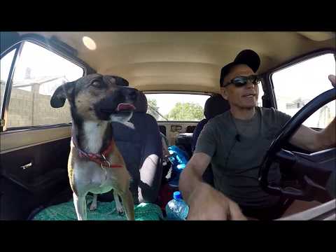 Видео: МЕСТА ДЛЯ СПУСКА ЛОДОК С КООРДИНАТАМИ ! ГДЕ ПОСТАВИТЬ ПАЛАТКУ ЮЖНАЯ ЧАСТЬ ТАРХАНКУТА!