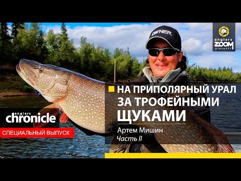 Видео: На Приполярный Урал за трофейными щуками. Часть 2. Артем Мишин. Anglers Chronicle