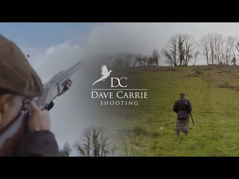 Видео: Маленький день!! Большие фазаны!! (Стрельба Дэйва Кэрри)