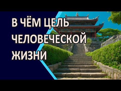 Видео: В ЧЁМ ЦЕЛЬ ЧЕЛОВЕЧЕСКОЙ ЖИЗНИ