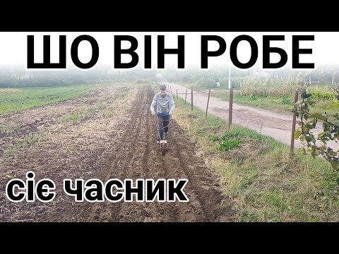 Видео: Розпочали садити часник (воздушка).