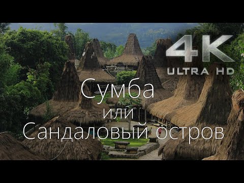 Видео: остров Сумба или Сандаловый остров