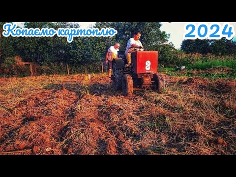 Видео: Копаємо Картоплю🥔❗️ 2024❗️