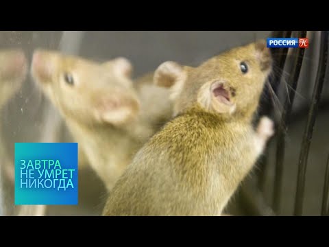 Видео: Лекарство от старости / Завтра не умрет никогда