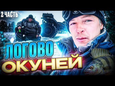 Видео: ВМЕСТО ДНА РЫБА! ЛОГОВО ОКУНЕЙ! ЗАКРЫТИЕ СЕЗОНА ЗИМНЕЙ РЫБАЛКИ 2025 НА ОЗЕРЕ ЕНДРА. 2 часть.