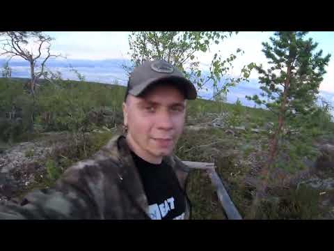 Видео: Строю дом в лесу. Первый венец! Хижина в тайге / на горе / у моря.