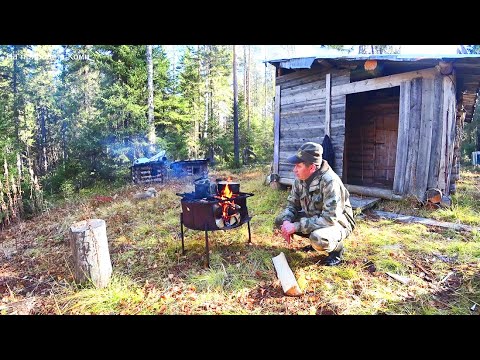 Видео: Первый выход в лес и добыча. Полевая кухня. Кадры летние с фотоловушки. 3 серия