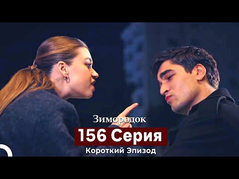 Видео: Зимородок 156 Cерия (Короткий Эпизод) (Русский дубляж)