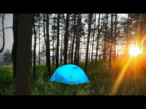Видео: Поход в лес с ночевкой. 40 км пешком. Пискалы - Золотой бор.