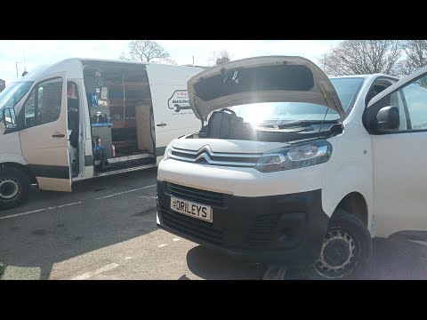 Видео: Citroën Dispatch 1.6. Мигает индикатор сервисного обслуживания AdBlue. Температурное старение кат...