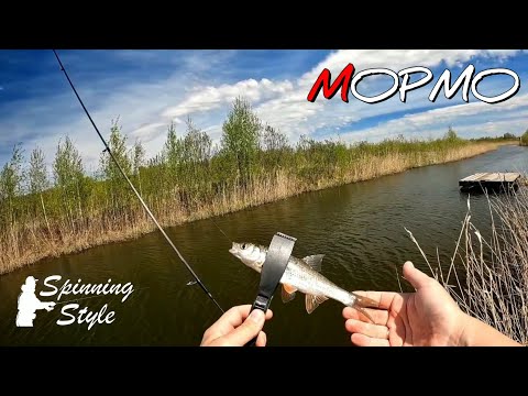 Видео: Ловля ельца и плотвы на мормышку в малой реке. мормышинг наноджиг ультралайт