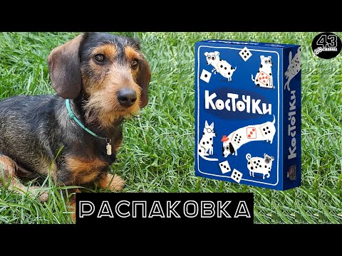 Видео: Распаковка настольной игры Косточки (Spots)