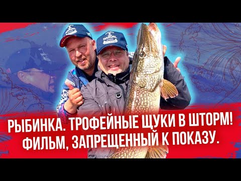 Видео: ТРОФЕЙНЫЕ ЩУКИ В ШТОРМ | РЫБИНКА