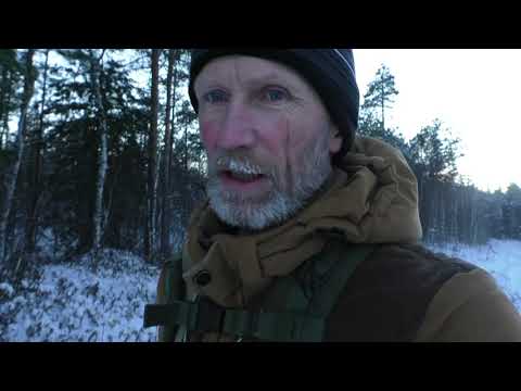 Видео: ... ВОПРОС К ЗАКОНОТВОРЦАМ/РАЗГОВОР НА БОЛОТЕ