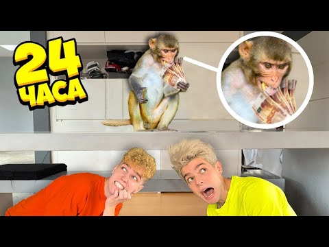 Видео: Стали НЯНЯМИ у ОБЕЗЬЯНЫ НА 24 ЧАСА !