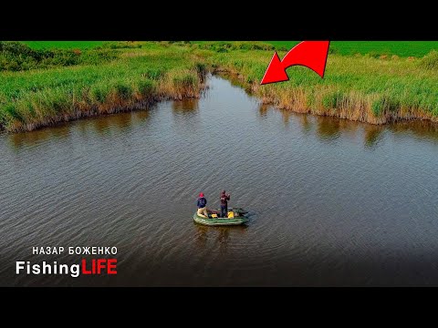 Видео: Як Ловити Щуку Влітку? Приманки Та Місця Риболовлі