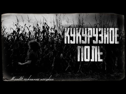 Видео: Страшные истории - КУКУРУЗНОЕ ПОЛЕ. Страшилка на ночь.