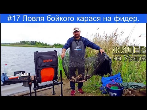 Видео: Ловля карася на фидер. Рыбалка на карася. Рыбалка в Челябинской области. Манная "болтушка".