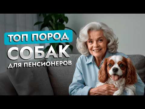 Видео: Как выбрать идеальную собаку для пожилого человека? | Советы кинолога | ЛавГав