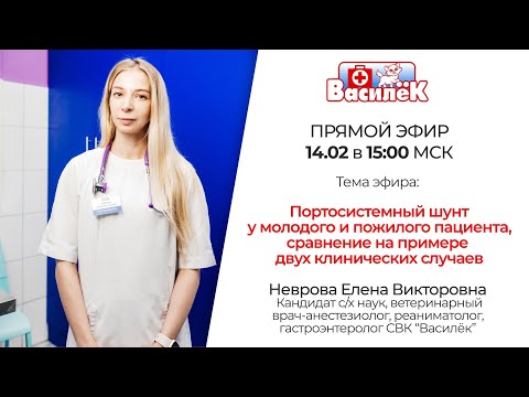 Видео: Портосистемный шунт у молодого и пожилого пациента, сравнение на примере двух клинических случаев.