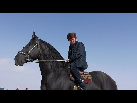 Видео: Атты башка чапба !!! Абдыкапар Ажы !!!