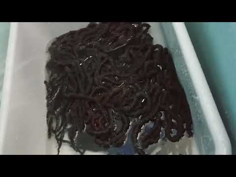 Видео: Как предварительно постирать искусственные локоны, связанные крючком