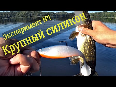 Видео: Щука на КРУПНЫЙ СИЛИКОН - Эксперимент №1 НА ОЗЕРЕ