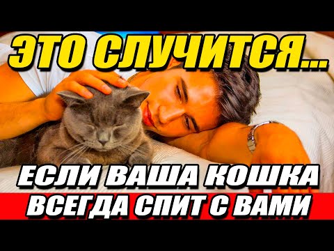 Видео: СПИТЕ С КОШКОЙ каждый день? Вот что ВЫ НЕ ЗНАЛИ об этом!