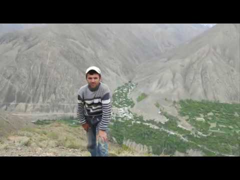 Видео: Шамтуч