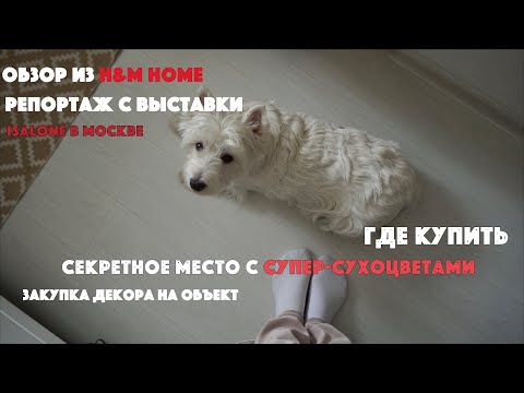 Видео: ВЛОГ: новинки H&M Home | Salone del Mobile в Москве | Где купить сухоцветы в Москве?