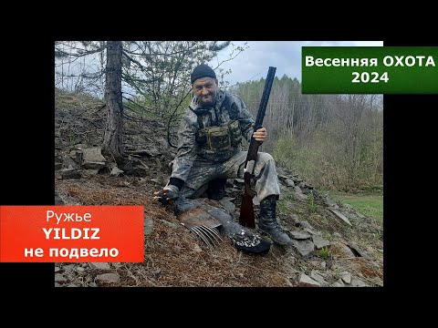 Видео: Весенняя охота с YILDIZ SPZ ME/12. Ружье не подвело. Глухарь добыт. Выстрел в кадре.