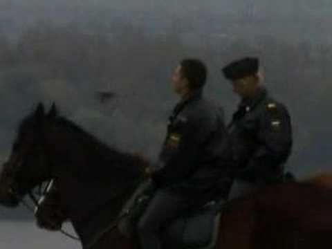 Видео: Звери. Игра в себя.