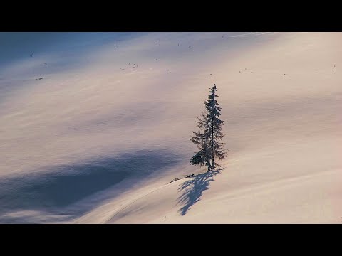Видео: Всю Жизнь в Тайге. Зимние будни Отшельника. Осознанный Минимализм.