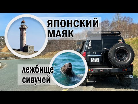 Видео: Маршрут выходного дня. Лежбище сивучей, Японский маяк на мысе Слепиковского, водопад Салют.