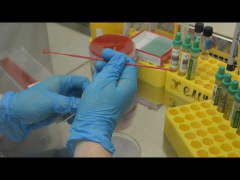 Видео: Как устроена лаборатория микробиология