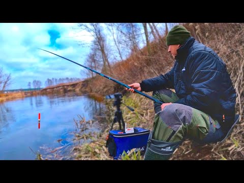 Видео: Поплавок на річці Горинь. Ловля на Вудочку у проводку. Весна 2024