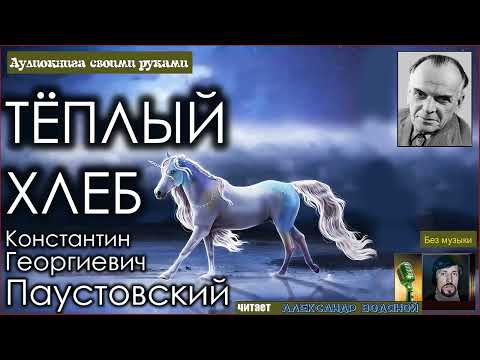 Видео: К. Паустовский. Тёплый хлеб (без муз) - чит. Александр Водяной