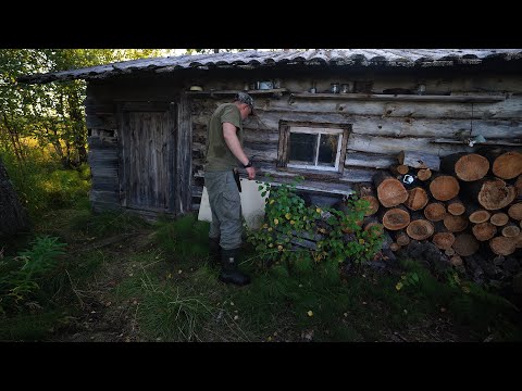 Видео: ЖИВУ В ИЗБУШКЕ. НОВАЯ ПРИМАНКА НА ХАРИУСА. РЫБАЛКА НА ТАЕЖНОЙ РЕЧКЕ. БЫТ.