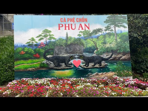 Видео: #9 Вьетнам 🇻🇳 Нячанг. Экскурсия в Далат. Часть 1 . Пагода. Кофе Лювак. Сентябрь 2024