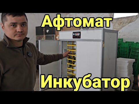 Видео: Мана афтомат инкубаторлар ясаб биришади